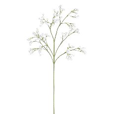 Gypso Branch 6/Poly, 60 cm