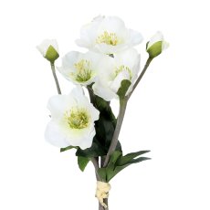 Christmas rose bunch 4/poly, 35cm, white