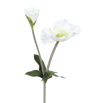 Christmas Rose x 2 6/Poly, 44 cm, White