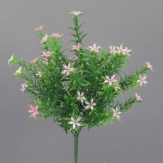 Star flower bush, 33cm, pink