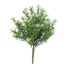Starflower Bush, 33 cm, White