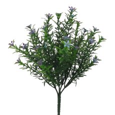 Starflower Bush, 33cm, Lavender