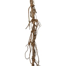 Dekowurzel, 143 cm