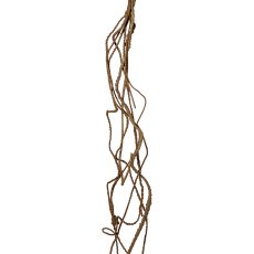 Decorative Root Tendril, 146