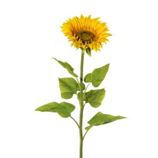 Sunflower xl, 110 cm,Ø ca 22