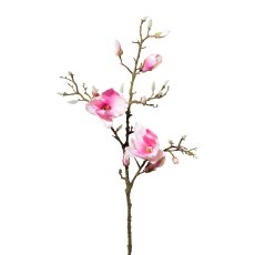 Magnolie, 102 cm, rosa