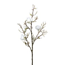 Magnolie, 136 cm, weiß