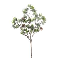 Cedar Branch, 46 cm, Frost