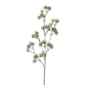 Cedar Branch, 63cm, Frost