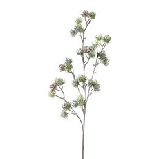 Cedar Branch, 63 cm, Frost