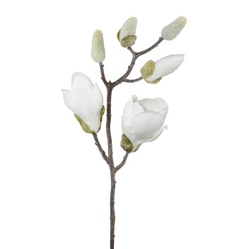 Iced Magnolia Twig, 43cm, White