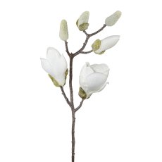 Magnolienzweig geeist, 43 cm,