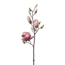 Iced Magnolia Twig, 84 cm, Old