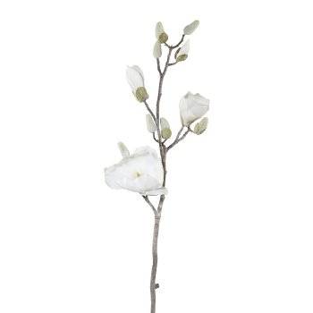 Iced Magnolia Branch, 84cm, White