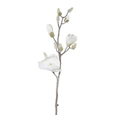 Magnolienzweig geeist, 84 cm,