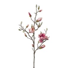 Iced Magnolia Twig, 103 cm,