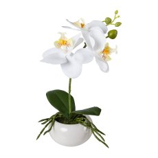 Phalaenopsis In Ceramic Bowl, 27cm, white, Real Touch
