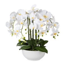 Phalaenopsis in Keramikschale, Real Touch, 54cm, weiß