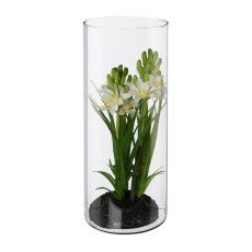 Hyacinth Arrangement In Glass, 23 x 9cm, White