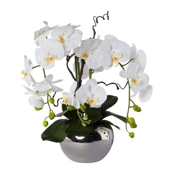 Phalaenopsis Arrangement In silver Pot, 55cm, white, Real Touch