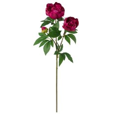 Peony branch x3, 70cm, cerise