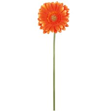 Gerbera, 50cm, orange