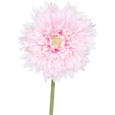Gerbera Filled, 60 cm, Pink