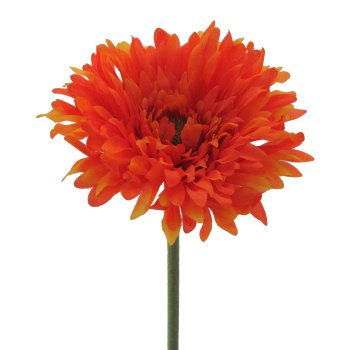 Gerbera Filled, 60cm, Orange Gerbera filled, 60cm, orange