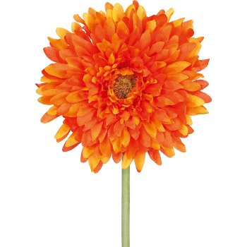 Gerbera Filled, 60cm, Orange Gerbera filled, 60cm, orange