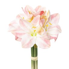 Amaryllisbund, 32 cm, rosa