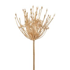 Allium, 82 cm, Gold
