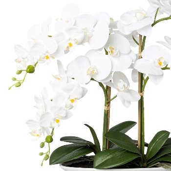 Phalaenopsis In ceramic bowl Real Touch, 53cm, white, bowl 30.5x14x9.5cm