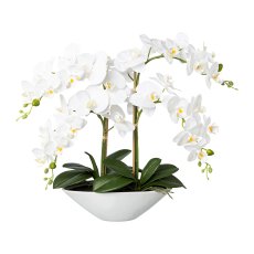 Phalaenopsis in Keramikschale, Real Touch, 53cm, weiß Schale 30,5x14x9,5cm