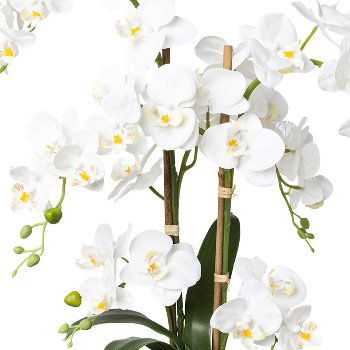 Phalaenopsis in ceramic pot Real Touch, 67cm, white, pot 13x15cm