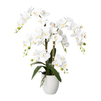 Phalaenopsis in ceramic pot Real Touch, 67cm, white, pot 13x15cm