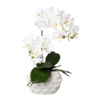 Phalaenopsis In Ceramic Pot Real Touch, 33cm, White, pot 13x7x9cm