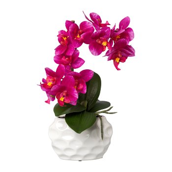 Phalaenopsis In Ceramic Pot Real Touch, 33cm, Purple, pot 13x7x9cm