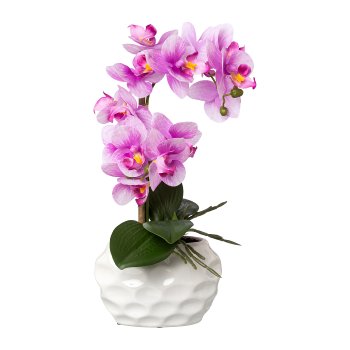 Phalaenopsis in Keramiktopf, Real Touch, 33cm, orchidee, Topfmaße 13x7x9cm