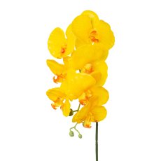 Phalaenopsis x 7, Real Touch, 76cm, gelb