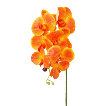 Phalaenopsis x 7 Real Touch, 76cm, Orange