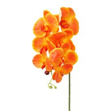Phalaenopsis x 7, Real Touch, 76cm, orange