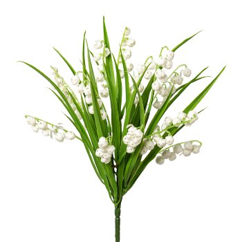Lily Of The Valley Bush , 30 cm,