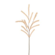 Melica grass twig 1/poly,