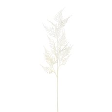 Asparagus branch, 85 cm, cream