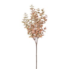 Eucalypthus branch, 46 cm,