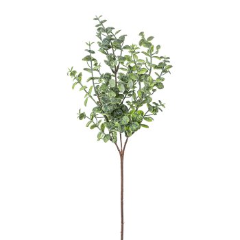 Eukalyptuszweig, 46cm, grün