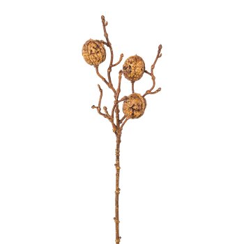 Walnut branch, 41cm, natural