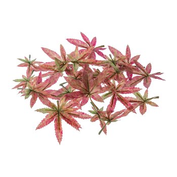 Maple leaves 24/poly, green-pink