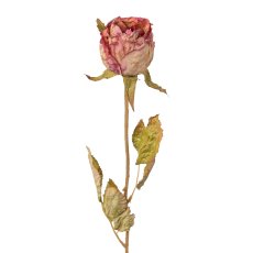 Rosenknospe, 53cm, rosa