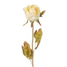 Rosebud, 53 cm, cream